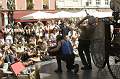 la cymbalobylette 5 * 4272 x 2848 * (4.71MB)